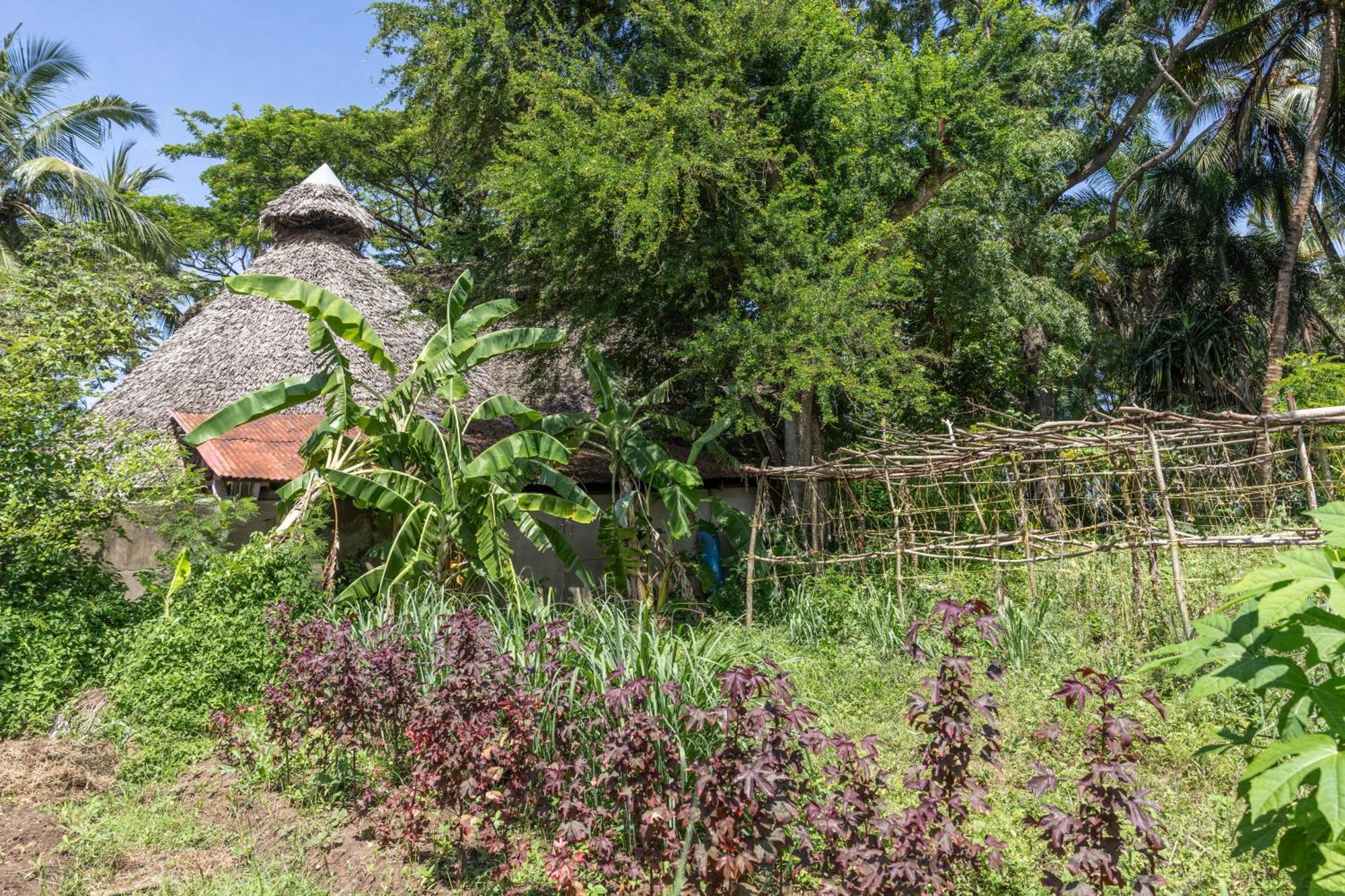 Mbweni Ruins & Gardens Previously Jungle Paradise Zanzibar Bagian luar foto