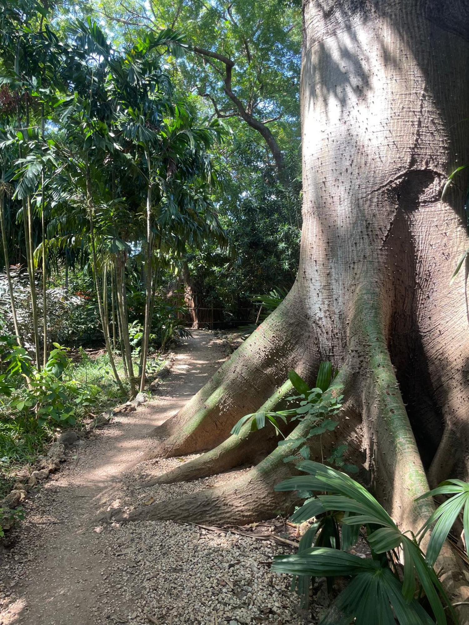 Mbweni Ruins & Gardens Previously Jungle Paradise Zanzibar Bagian luar foto
