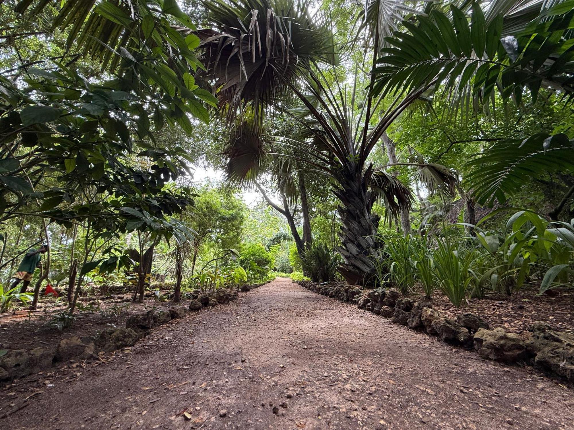 Mbweni Ruins & Gardens Previously Jungle Paradise Zanzibar Bagian luar foto