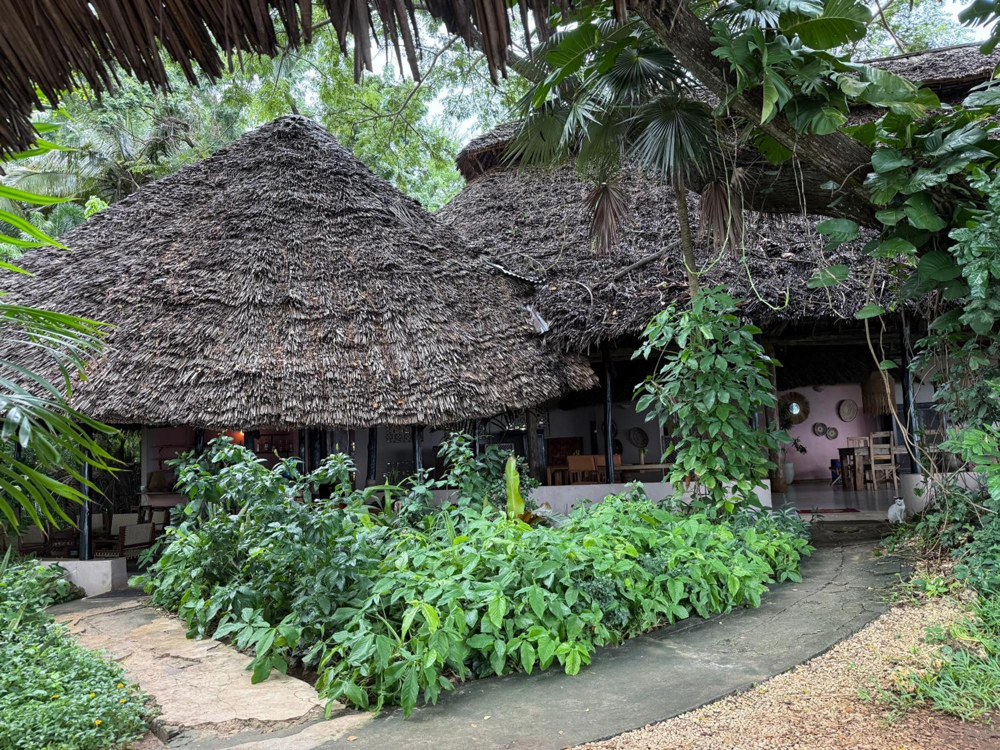 Mbweni Ruins & Gardens Previously Jungle Paradise Zanzibar Bagian luar foto