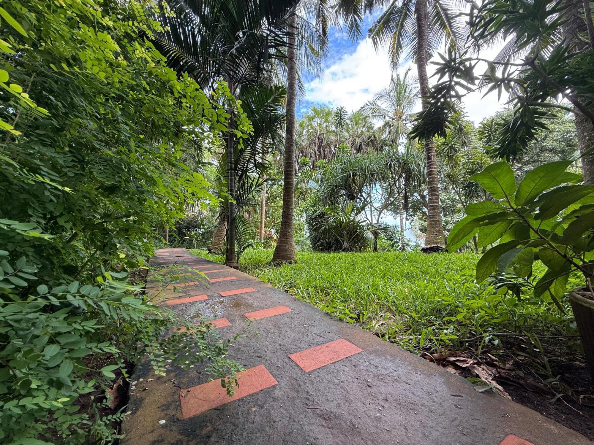 Mbweni Ruins & Gardens Previously Jungle Paradise Zanzibar Bagian luar foto