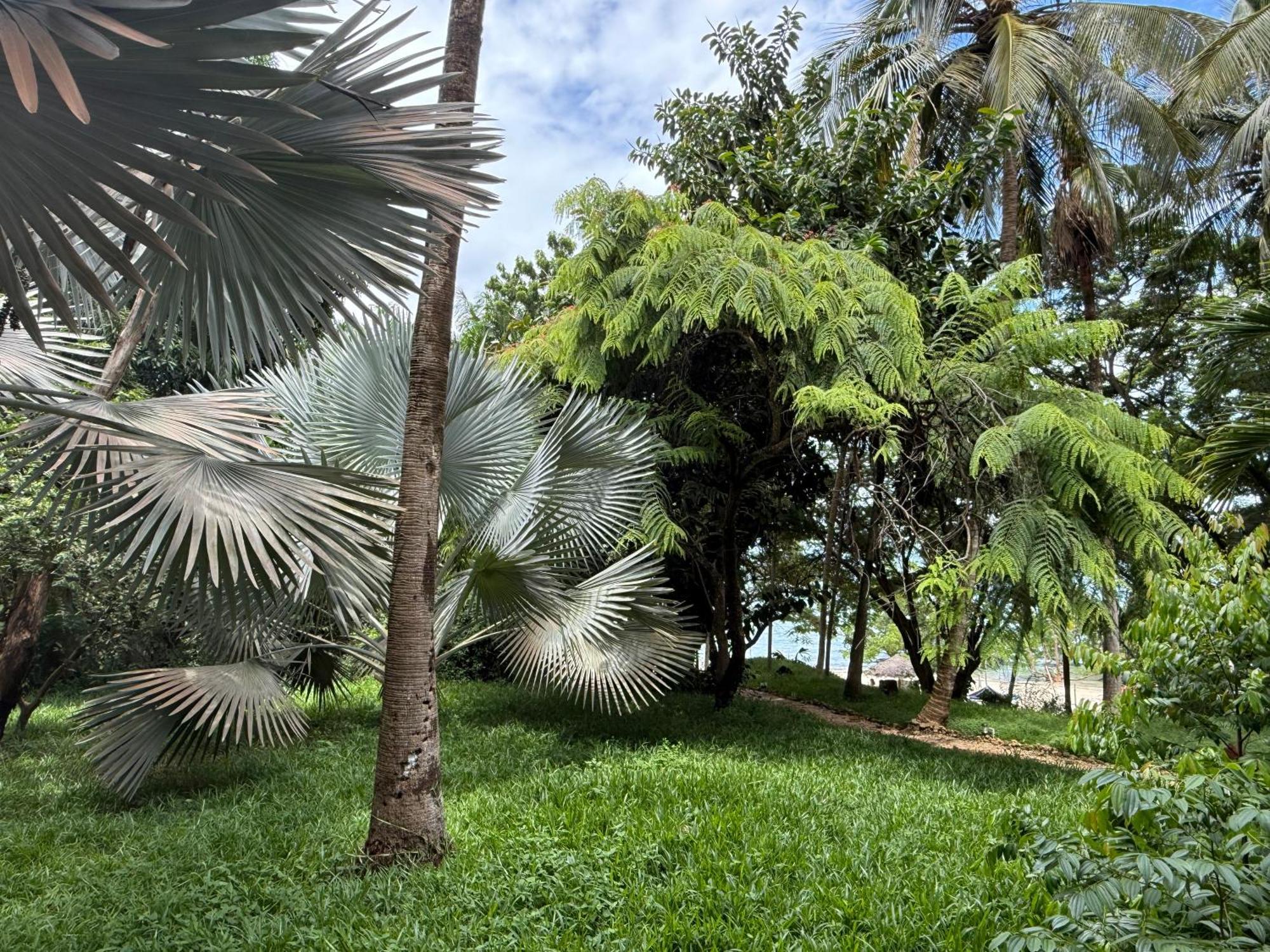 Mbweni Ruins & Gardens Previously Jungle Paradise Zanzibar Bagian luar foto